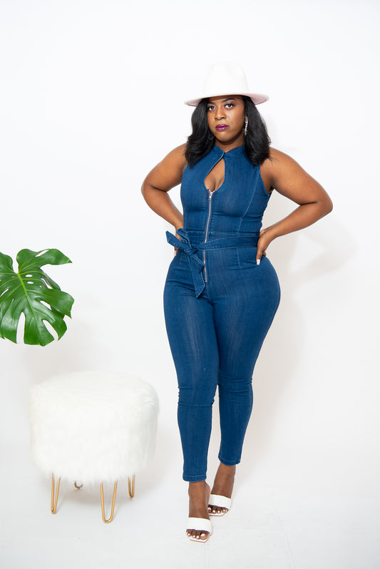 Whatever You'd Like Jean Jumpsuit